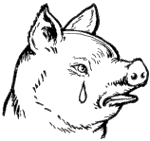 Crying pig
