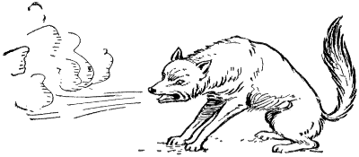 Wolf, huffing and puffing